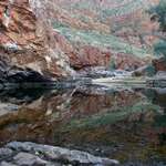 Reflections