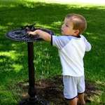 bird bath