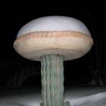 Snowy Sombrero