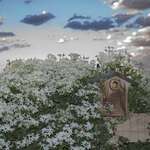 birdhouse