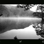 Reflections in the mist