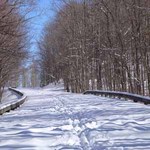 Blue Ridge Parkway in Snow