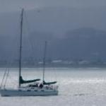 Sailing Away
