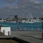 boats