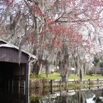 Bob's Boathouse