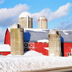 Boonville Farm