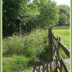 Boundray Gate