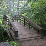 Foot Bridge`-