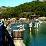 Walking bridge