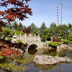 Bridge Reflection & maple leaves - Temple Gardens