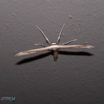 Bug12