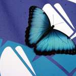 My Favorite Butterfly