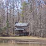 Lake Front Cabin
