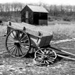 Cart W/O the Horse