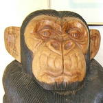 Closeup