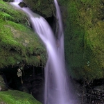 Mossy Cascade