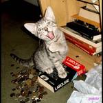 leave me alone!