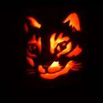 Halloween Cat