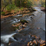 Cataloochee Stream