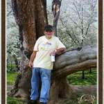 Michael and the Cherry Trees