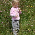 Wild Flower