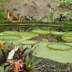 Circles of Eden