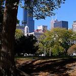 City Past the Trees
