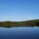 Pond setting