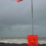 Napier's Marine Parade Beach