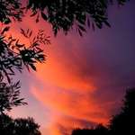 Cirrus Clouds Sunset