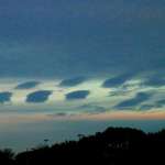 Leopard Clouds