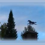 Horse Cloudscape