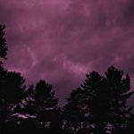 Purple Skies