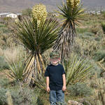 Cody In The Desert