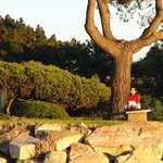 Contemplation 2
