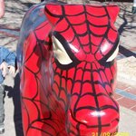 Spider Cow
