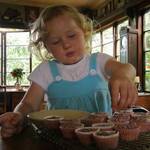 Cupcakes & Sprinkles