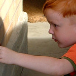 Curiosity