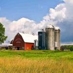 Dairy Farm