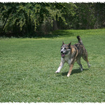 Daisy Running