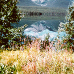 Dease Lake 1996