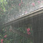 Deluge!