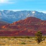 Desert Dusting