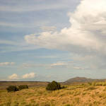 Desert Scape
