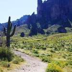 In the Heart of the Desert