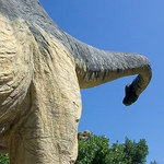 Long Neck