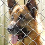 Please Let Me Out