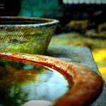 Dsc01549
