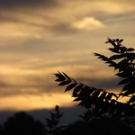 Dsc06570