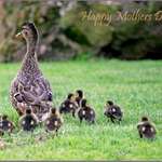 Happy Mothers Day 2